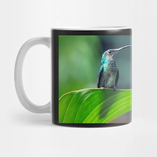 Hummingbird Mug